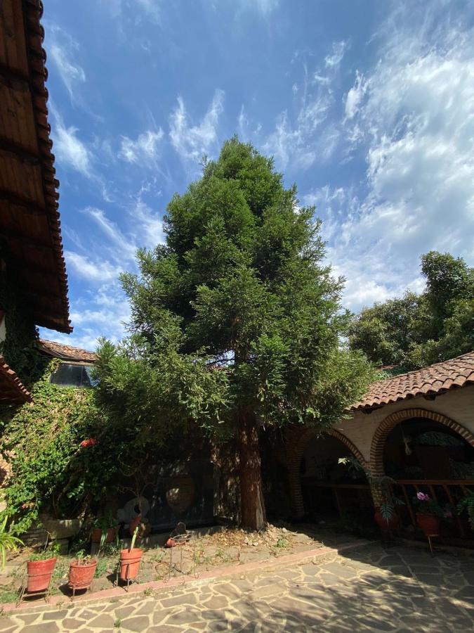 Villa La Casa De Dona Emma Mazamitla Zimmer foto