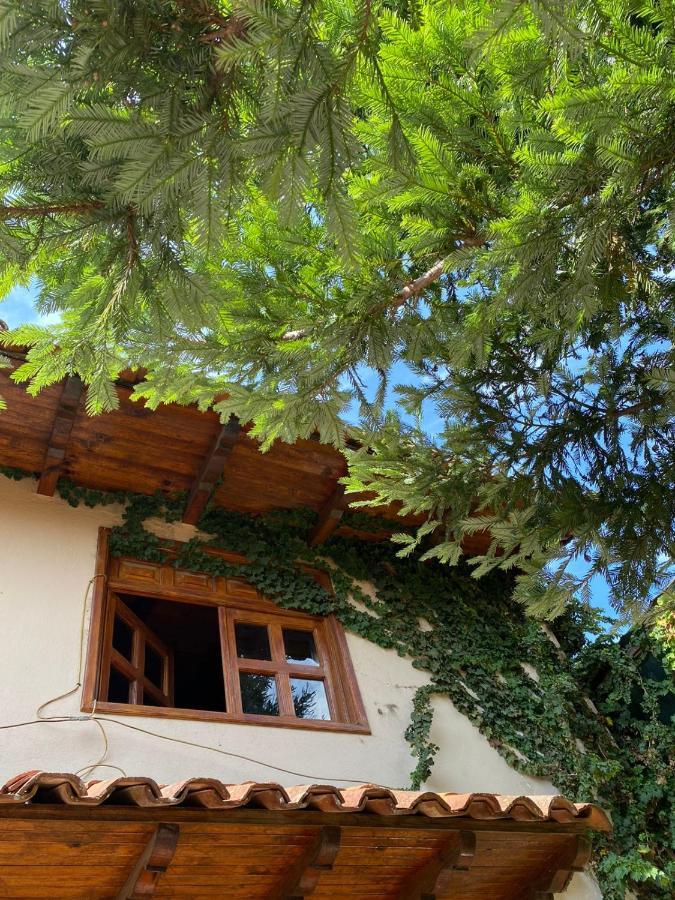 Villa La Casa De Dona Emma Mazamitla Zimmer foto